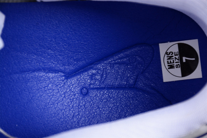 Nike Dunk Low Wolf Grey Pure Platinum DX3722-001