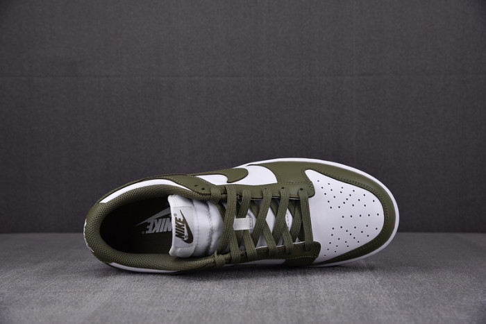 Nike Dunk Low Medium Olive (W) DD1503-120