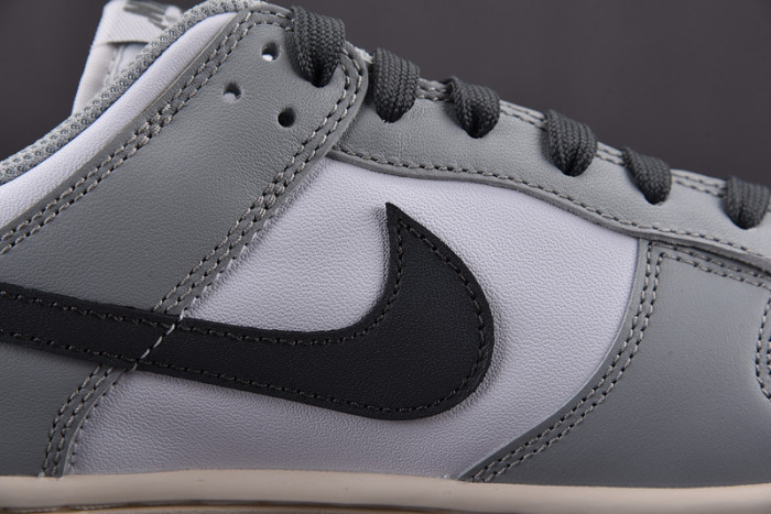 Nike Dunk Low Light Smoke Grey (W) DD1503-117