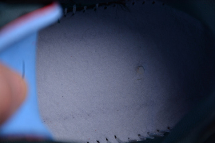 nike cpfm air flea 2 cactus plant flea market faded spruce dv7164-300