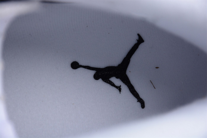 air jordan 6 “reverse oreo” ct8529-112