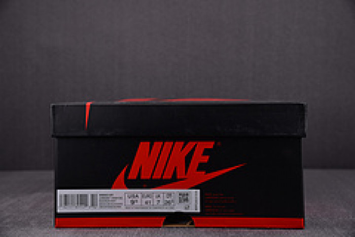 Air Jordan 1 High OG "Twist 2.0" DZ2523-001